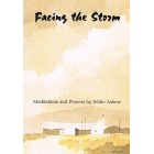Facing The Storm by Eddie Askew